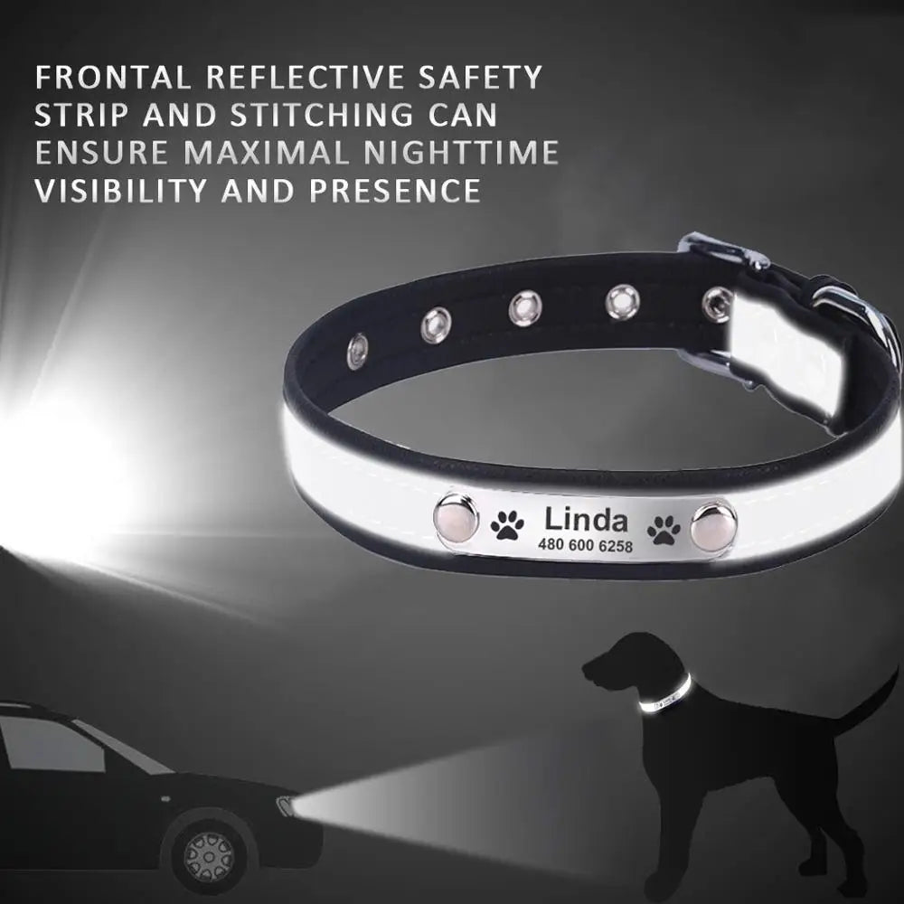 Custom Tagged Collar