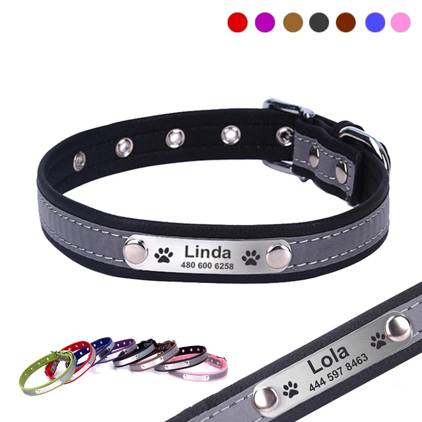 Custom Tagged Collar