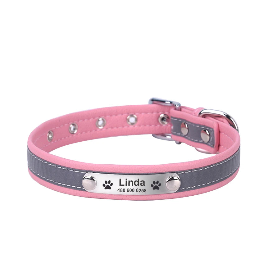 Custom Tagged Collar