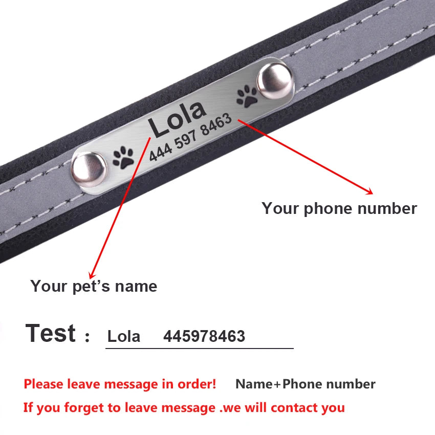 Custom Tagged Collar