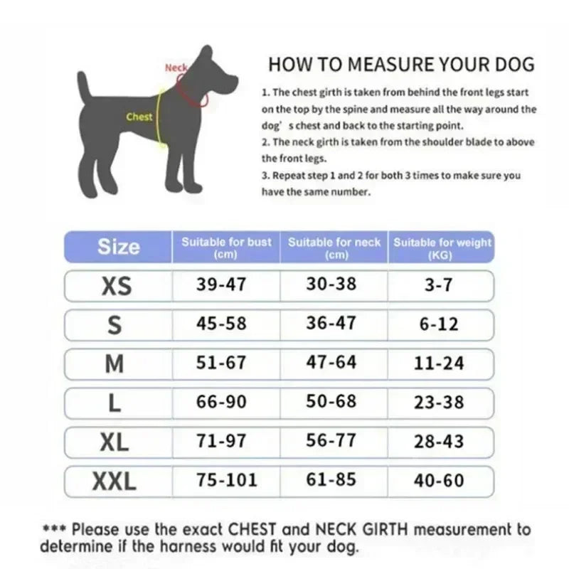 Ausypets Dog Tag No Pull Harness