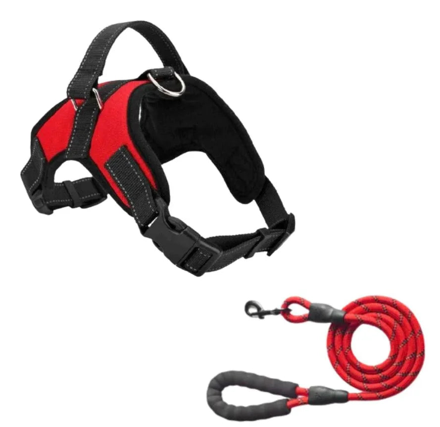 Ausypets Dog Tag No Pull Harness