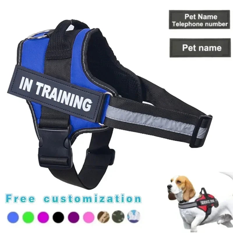 Ausypets Dog Tag No Pull Harness