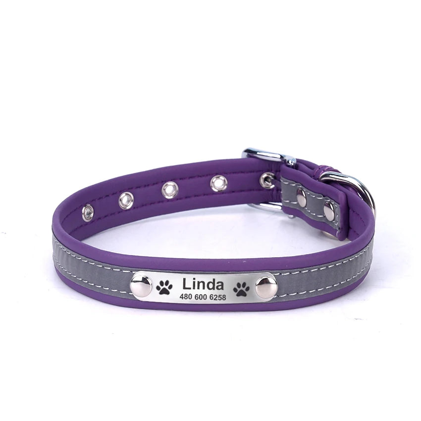 Custom Tagged Collar