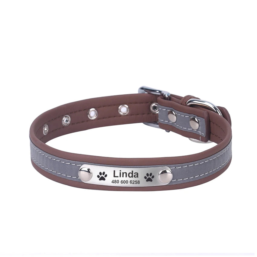 Custom Tagged Collar
