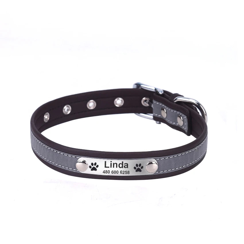 Custom Tagged Collar