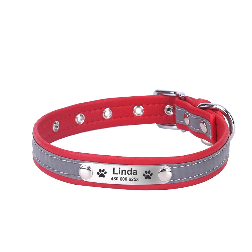 Custom Tagged Collar