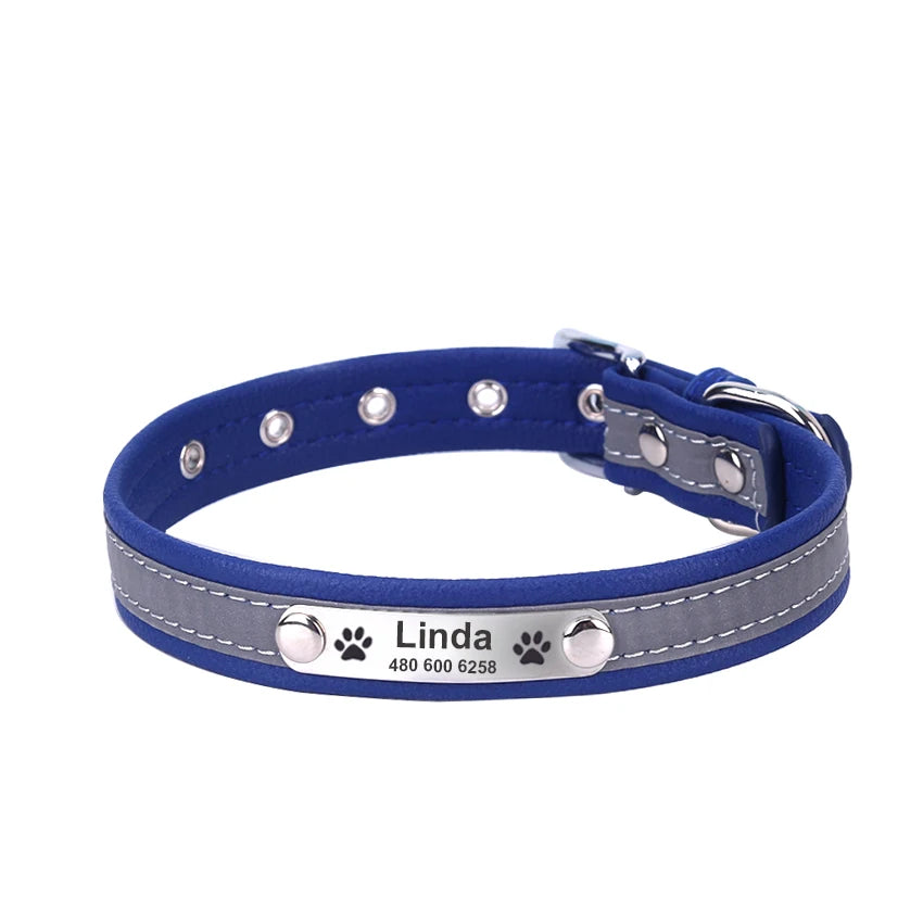 Custom Tagged Collar