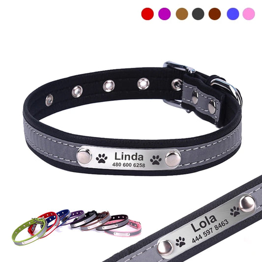 Custom Tagged Collar