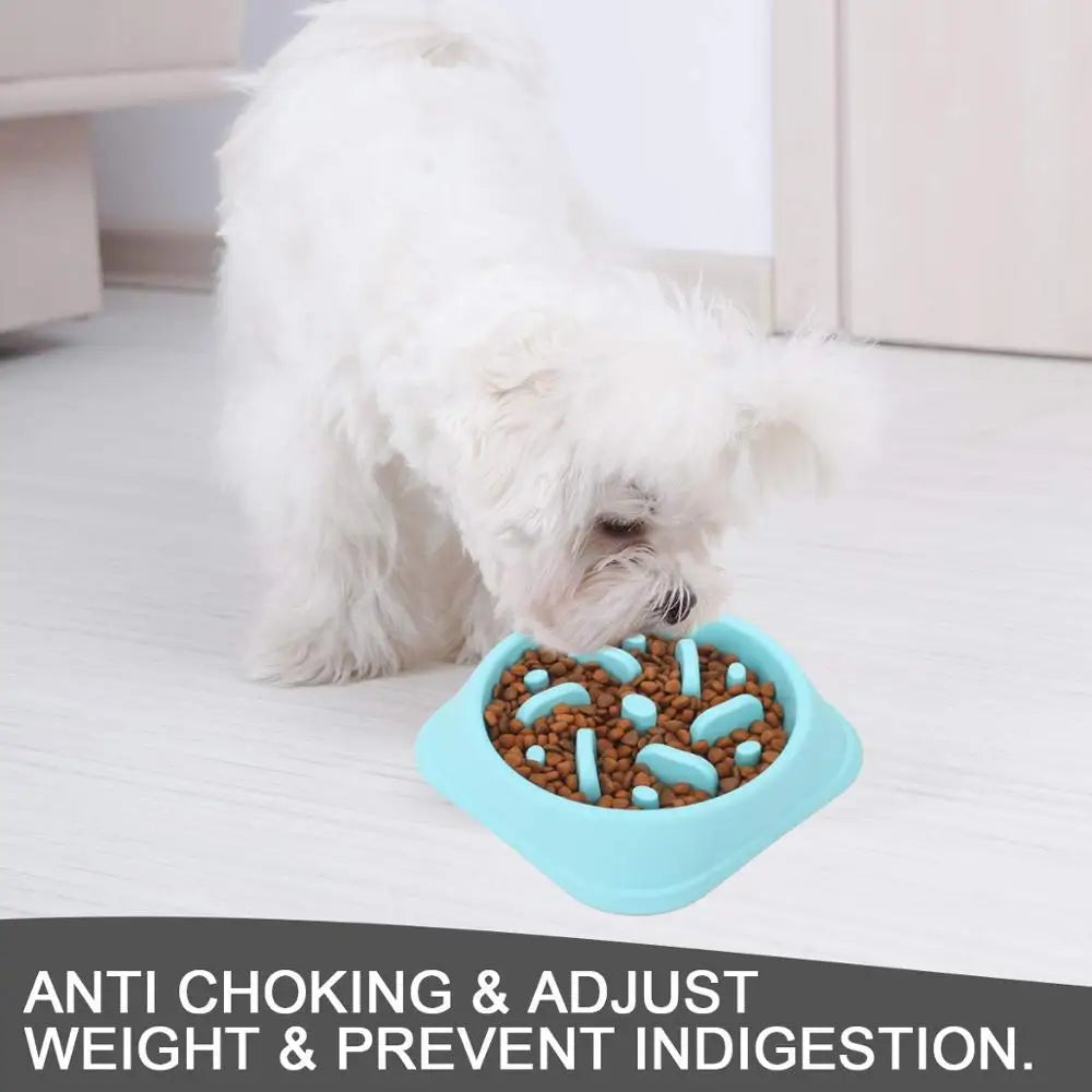 Pet Slow Feeder