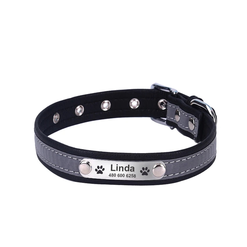Custom Tagged Collar