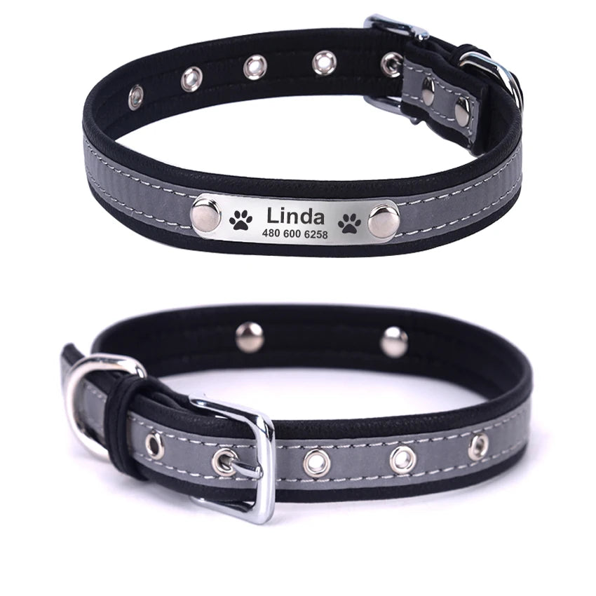 Custom Tagged Collar