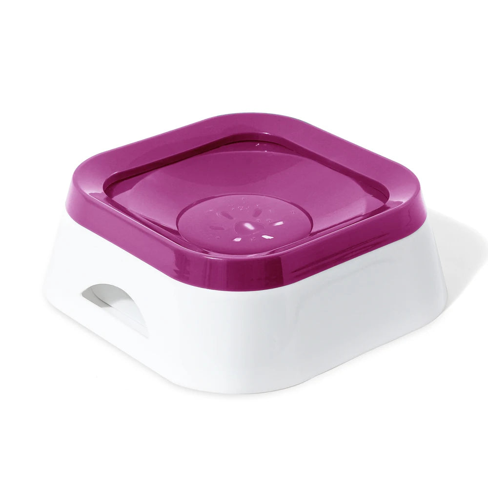 Zero Spill Water Bowl