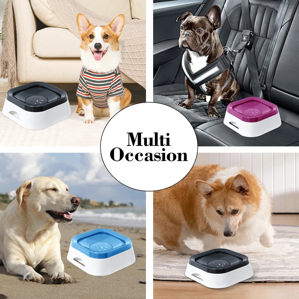 Zero Spill Water Bowl